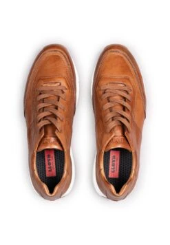 Lloyd AMSTERDAM - Trainers - Braun 13 Lloyd AMSTERDAM - Trainers - Braun -Lloyd Store 6fefd77f39f44ecea71d8ff61bf20a64