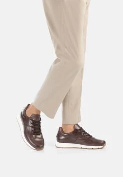 Lloyd AMSTERDAM - Trainers - Dunkelbraun